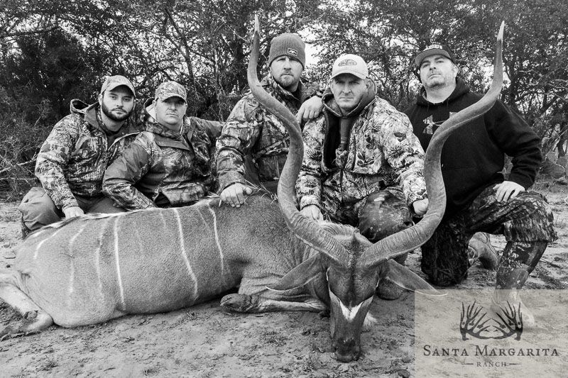 Exotics Hunts in Texas