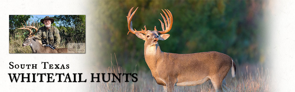 whitetail hunts 3